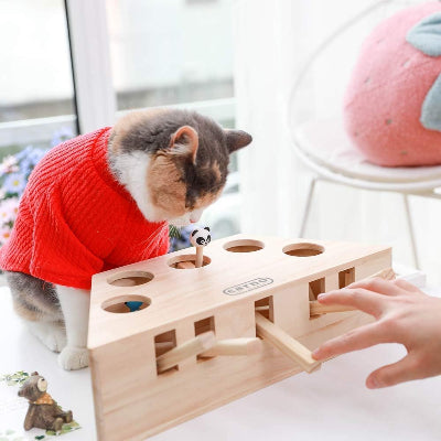Jouet Interactif Chat - PawHunter™ - 5 Trous