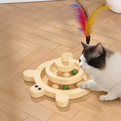 Jouet en Bois - SpinningCatToy™ - Grenouille