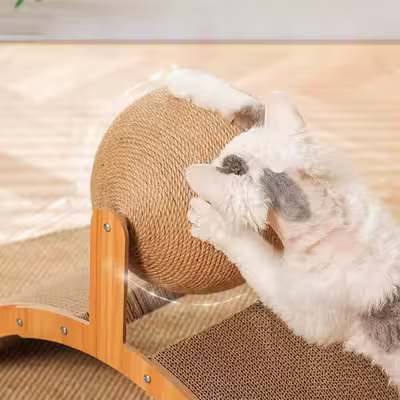 Griffoir pour Chat - Scratch&PlayCatBoard™ - Arc