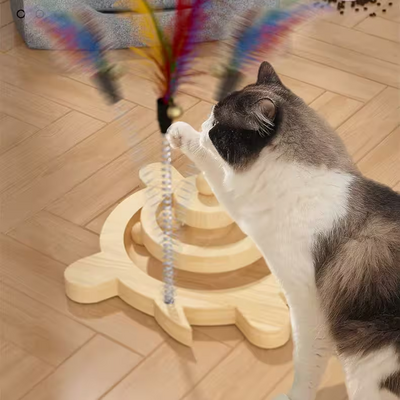 Jouet en Bois - SpinningCatToy™ - Grenouille