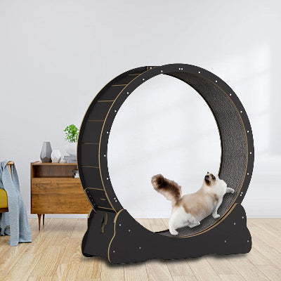 Roue Chat - KittyTread™ - Noir