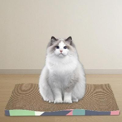 Grattoir Chat - PurrfectScratcher™ - Dune Bleue