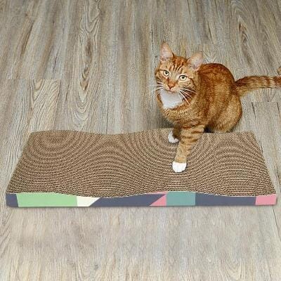 Grattoir Chat - PurrfectScratcher™ - Dune Bleue