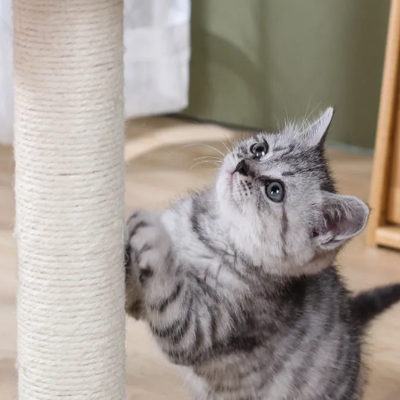Griffoir Chat - ScratchingPost™- Beige