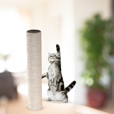 Griffoir Chat - ScratchingPost™- Beige